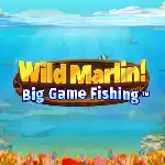 Wild Marlin Big Game Fishing